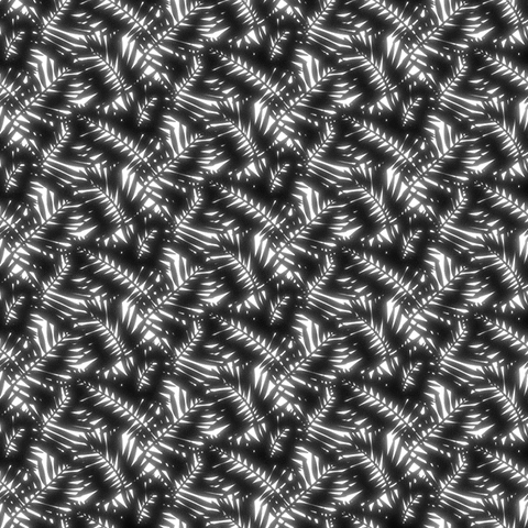 xponentialdesign summer loop black and white motion GIF