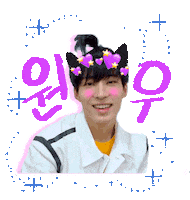 Cat Fan Sticker by Paola Hibiki