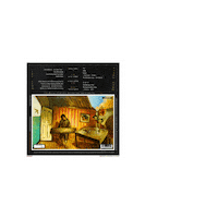 Vinyl Record Sticker