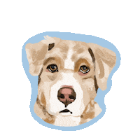 Boomer Customportrait Sticker by HeARTs Speak