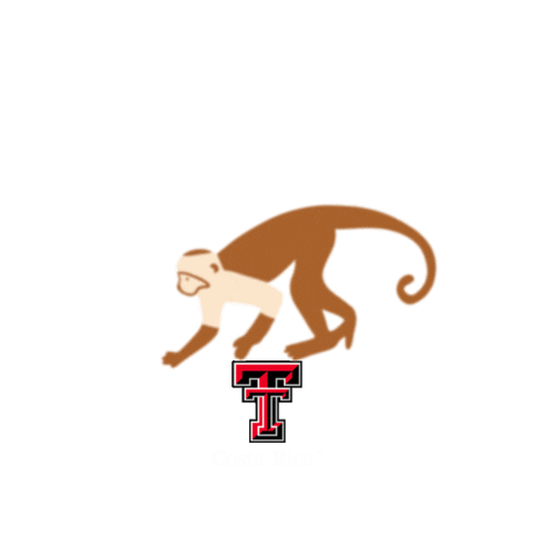 Studyabroad Sticker by Texas Tech Costa Rica University