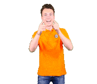 Nederlands Elftal Football Sticker by Bracket Official