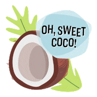 FairtradeOriginal dessert suss kokosnuss fairtradeoriginal Sticker