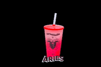 sorvelandia aries copo sorvelandia GIF