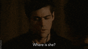 alec lightwood GIF by Shadowhunters