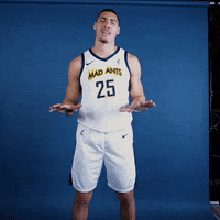 themadants basketball nba chill crowd GIF