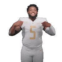 Ncaa Football Sticker by UCF Knights