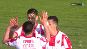 Delije GIF by sportmts