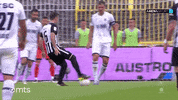 Partizan GIF by sportmts