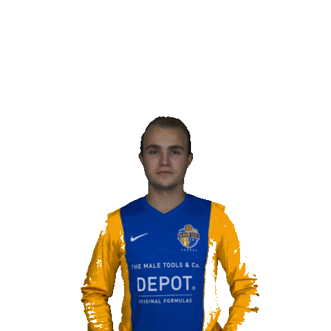 blauwgeel giphyupload football voetbal veghel Sticker