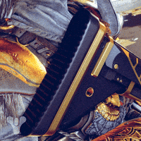 Destiny 2 Trials GIF by DestinyTheGame