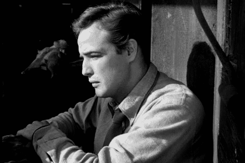 marlon brando GIF by Maudit