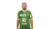 Handball-Bundesliga Mic Drop Sticker by LIQUI MOLY HBL