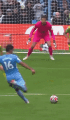 Premier League Football GIF by arcalle