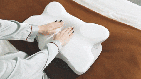 marz221 giphyupload GIF