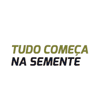Agro Soja Sticker by Foco Agronegócios