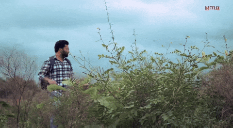 itsgautamcity_  GIF