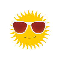 Sun Sunglasses Sticker by Holler