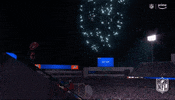 National Football League GIF by NFL