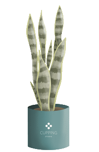 Cupping Studio Sticker by zenspacepdx