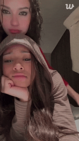 Lara Stan Twitter GIF