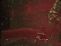 Skating Rock And Roll GIF by Topshelf Records