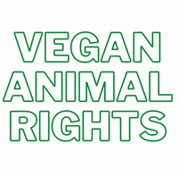 Plant-Based Vegan GIF by Caavakushi