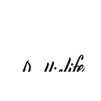 Sport Basketball Sticker by Ballislife