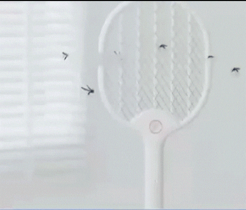 AnjaZZZZ giphyupload GIF