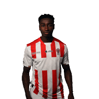 Supporters Doelpunt Sticker by TOP Oss