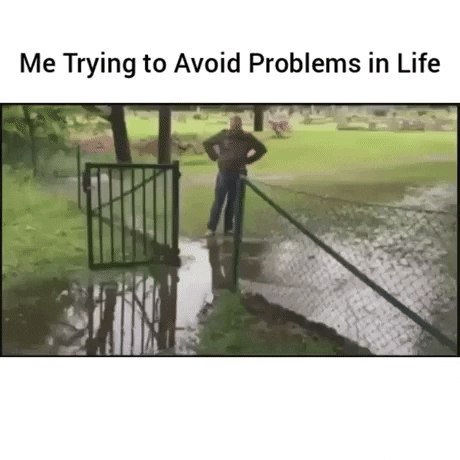 BaklolGifs giphyupload gifvif i was minding my business when GIF