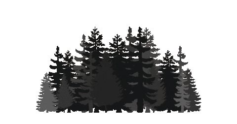 tminspired giphyupload trees mystical tminspired Sticker