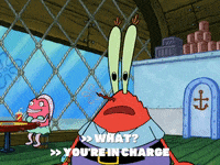 season 6 gullible pants GIF by SpongeBob SquarePants