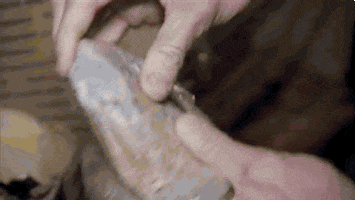 hotel hell GIF by Fox TV