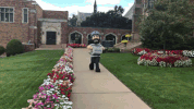 mercyhurst university GIF