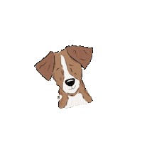 Jackrussel Sticker by Winkeltjevanbeer