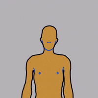 Art Illustration GIF