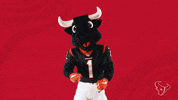 National Football League GIF by Houston Texans