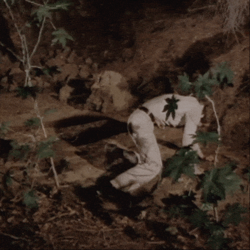 LanceReardon giphyupload hug bigfoot steve austin GIF
