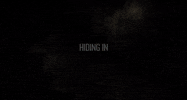 the woods GIF by Lionsgate