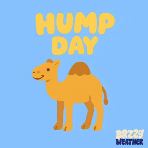 App Weather GIF by Brzzy