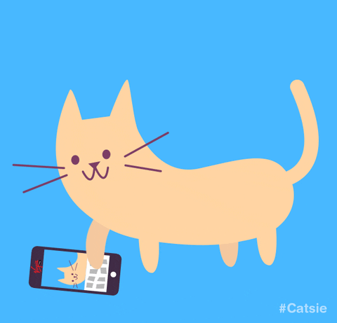 cat selfie GIF by Christina Lu