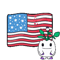 United States Usa Sticker by Magic Eden