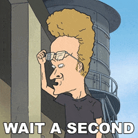 Wait A Second Hold On GIF by Paramount+