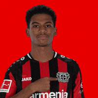 Proud Logo GIF by Bayer 04 Leverkusen