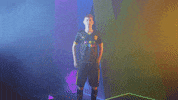 Meow Wolf Home Kit GIF by New Mexico United
