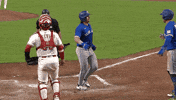 Blue Jays Baseball GIF by Toronto Blue Jays