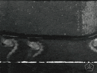 black and white digital humanities GIF by Okkult Motion Pictures