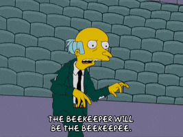 lisa simpson catch GIF