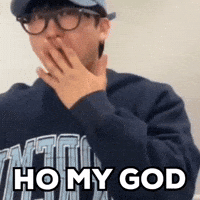 Stray Kids Skz GIF